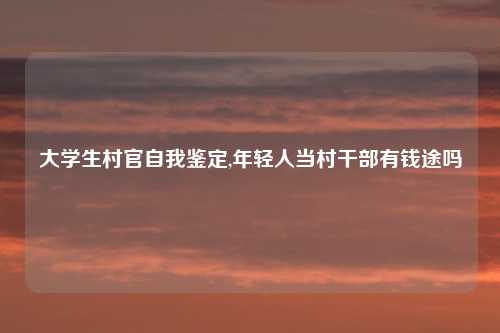 大学生村官自我鉴定,年轻人当村干部有钱途吗
