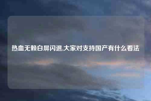 热血无赖白屏闪退,大家对支持国产有什么看法