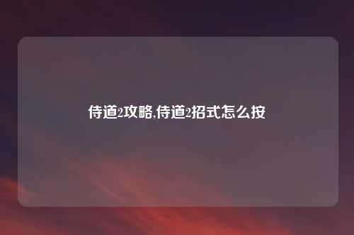 侍道2攻略,侍道2招式怎么按