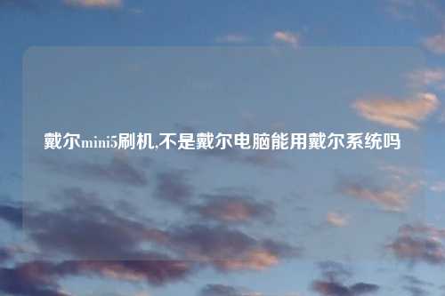 戴尔mini5刷机,不是戴尔电脑能用戴尔系统吗