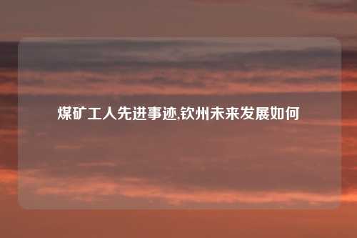 煤矿工人先进事迹,钦州未来发展如何