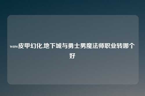 wow皮甲幻化,地下城与勇士男魔法师职业转哪个好