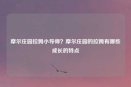 摩尔庄园拉姆小导师？摩尔庄园的拉姆有哪些成长的特点