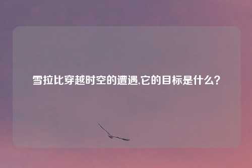 雪拉比穿越时空的遭遇,它的目标是什么？