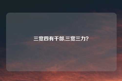 三宽四有干部,三宽三力？