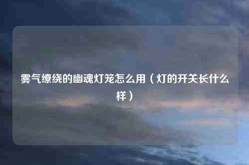 雾气缭绕的幽魂灯笼怎么用（灯的开关长什么样）