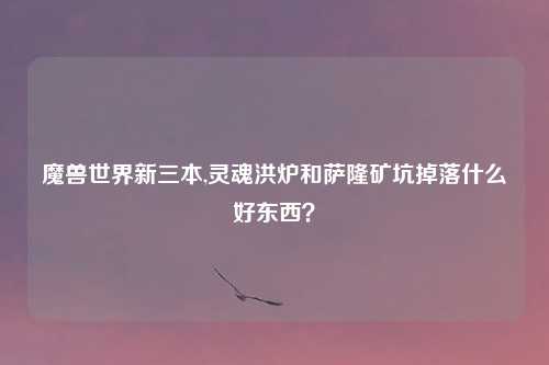 魔兽世界新三本,灵魂洪炉和萨隆矿坑掉落什么好东西？
