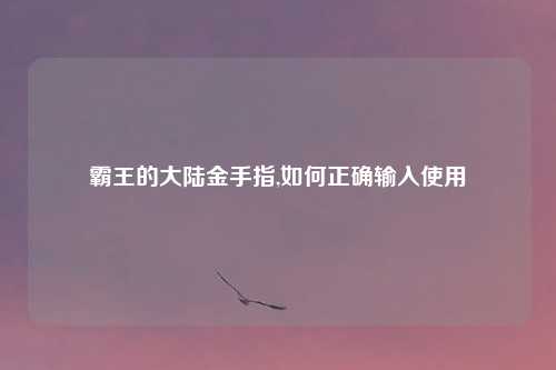 霸王的大陆金手指,如何正确输入使用
