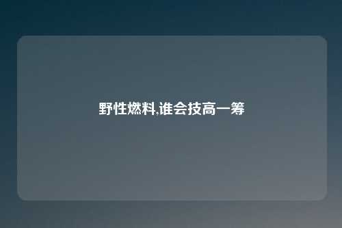 野性燃料,谁会技高一筹