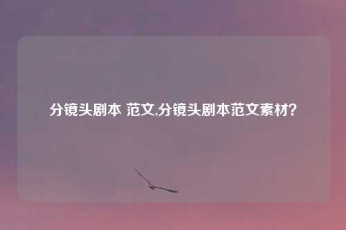 分镜头剧本 范文,分镜头剧本范文素材?