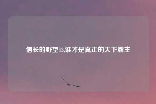 信长的野望13,谁才是真正的天下霸主
