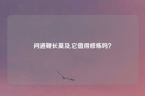 问道鞭长莫及,它值得修炼吗?
