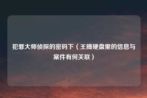 犯罪大师侦探的密码下（王腾硬盘里的信息与案件有何关联）