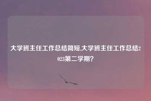 大学班主任工作总结简短,大学班主任工作总结2023第二学期？