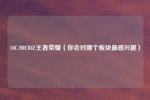 18C.MICBIZ王者荣耀(你会对哪个板块最感兴趣)