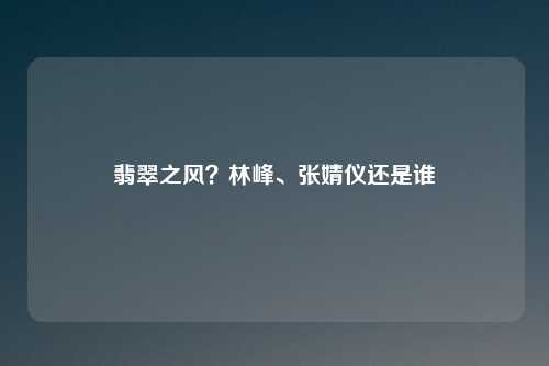 翡翠之风?林峰、张婧仪还是谁