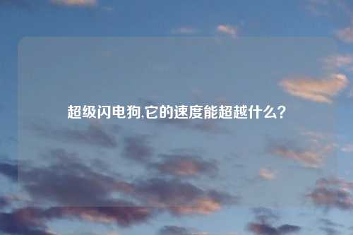 超级闪电狗,它的速度能超越什么？