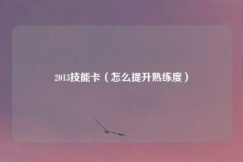 2013技能卡(怎么提升熟练度)