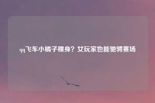 qq飞车小橘子稞身?女玩家也能驰骋赛场