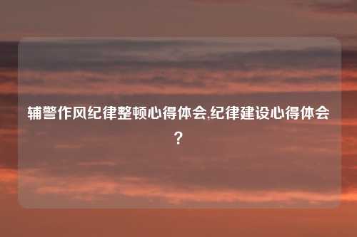 辅警作风纪律整顿心得体会,纪律建设心得体会?
