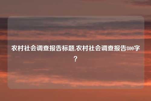 农村社会调查报告标题,农村社会调查报告800字？