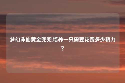 梦幻诛仙黄金兜兜,培养一只需要花费多少精力?