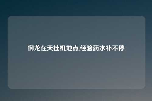 御龙在天挂机地点,经验药水补不停