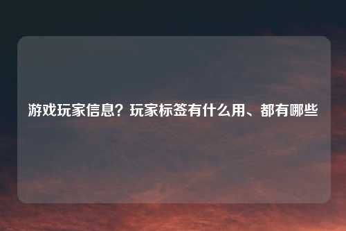 游戏玩家信息？玩家标签有什么用、都有哪些
