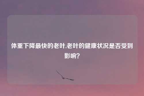 体重下降最快的老叶,老叶的健康状况是否受到影响?