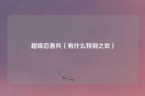 超级忍者兵（有什么特别之处）