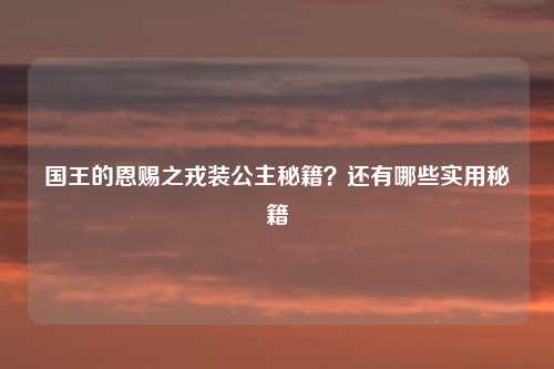 国王的恩赐之戎装公主秘籍？还有哪些实用秘籍