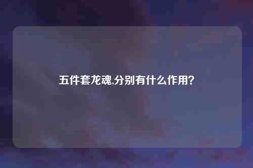 五件套龙魂,分别有什么作用？