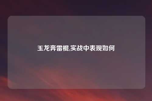 玉龙奔雷棍,实战中表现如何