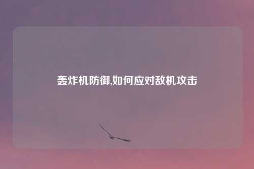 轰炸机防御,如何应对敌机攻击