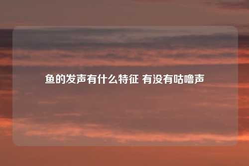 鱼的发声有什么特征 有没有咕噜声