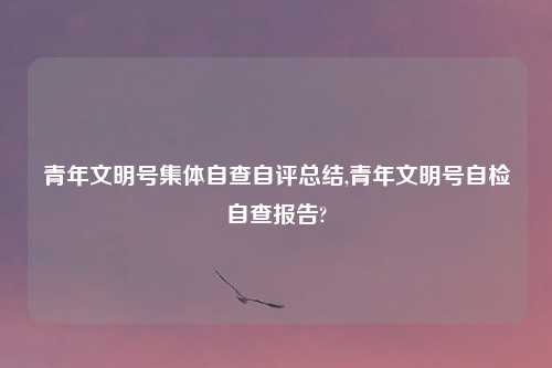 青年文明号集体自查自评总结,青年文明号自检自查报告?