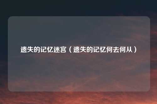 遗失的记忆迷宫（遗失的记忆何去何从）