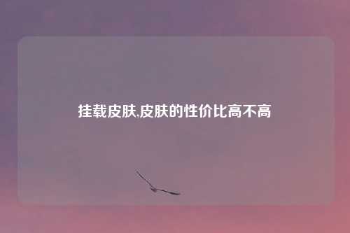 挂载皮肤,皮肤的性价比高不高