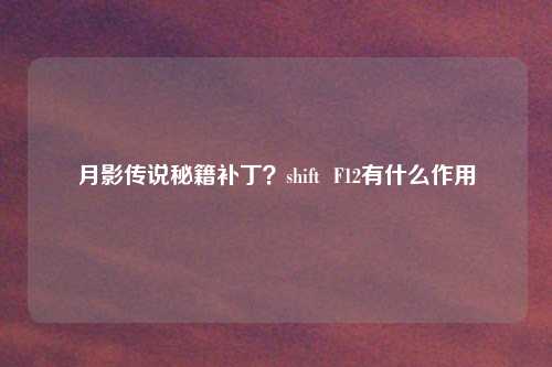 月影传说秘籍补丁？shift  F12有什么作用