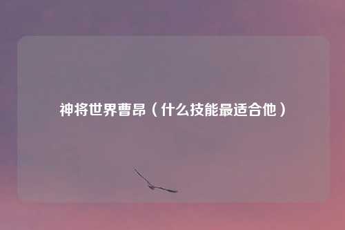 神将世界曹昂（什么技能最适合他）