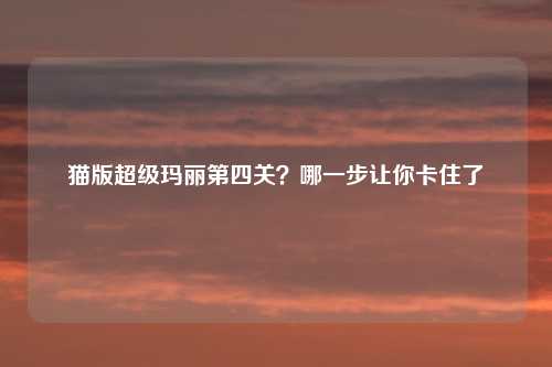 猫版超级玛丽第四关？哪一步让你卡住了