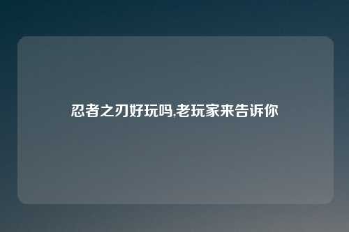 忍者之刃好玩吗,老玩家来告诉你