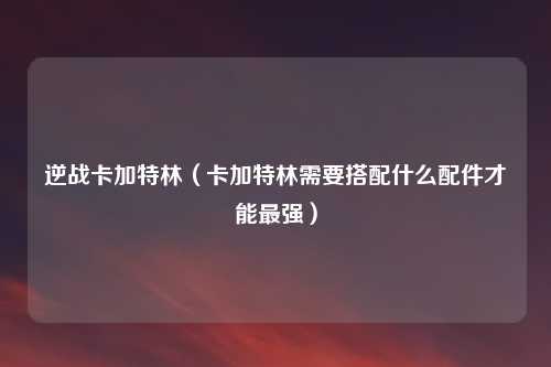 逆战卡加特林（卡加特林需要搭配什么配件才能最强）