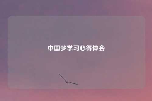 中国梦学习心得体会