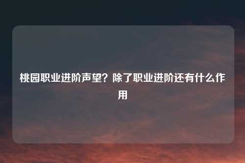 桃园职业进阶声望？除了职业进阶还有什么作用
