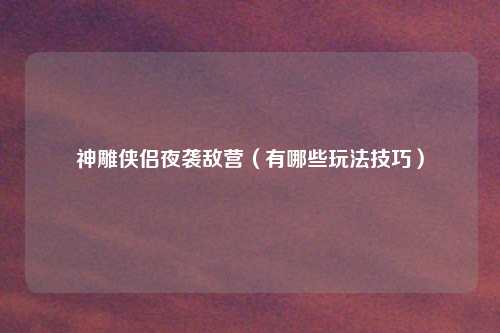 神雕侠侣夜袭敌营(有哪些玩法技巧)