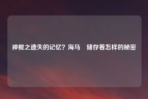 神棍之遗失的记忆?海马迴储存着怎样的秘密