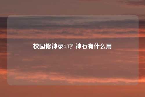 校园修神录4.1？神石有什么用