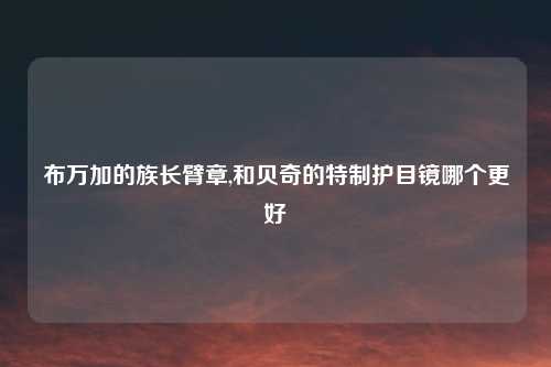 布万加的族长臂章,和贝奇的特制护目镜哪个更好