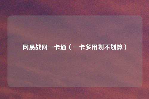 网易战网一卡通（一卡多用划不划算）
